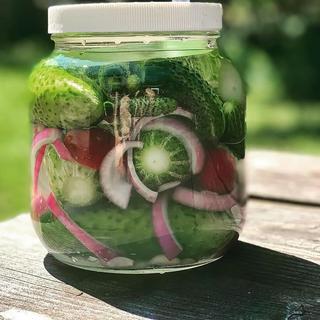 Pickle Making Kit