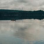 Kayak Rentals