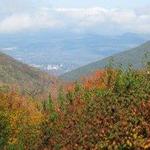 Pine Cobble Trail