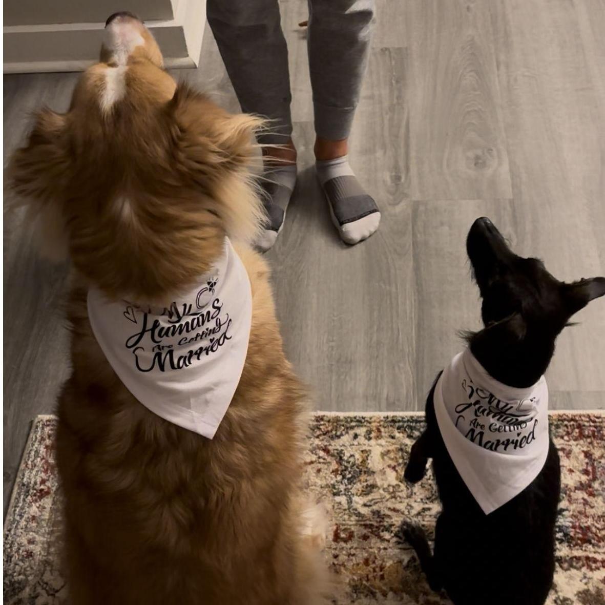 Our humans are getting married!