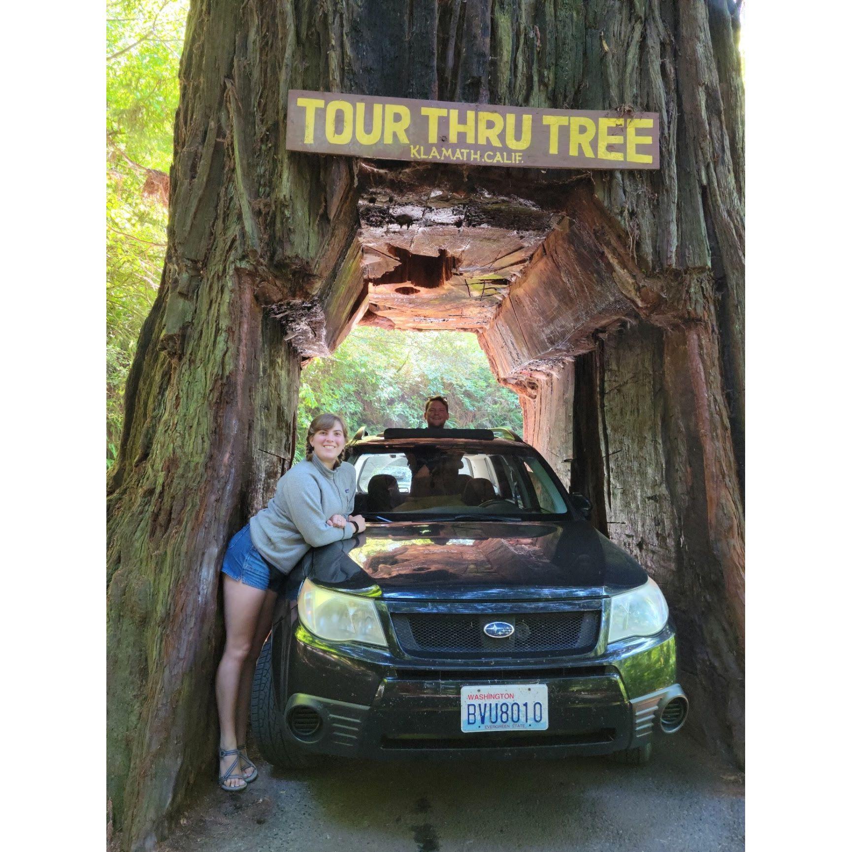 Roadtrip to the Redwoods, July 2021