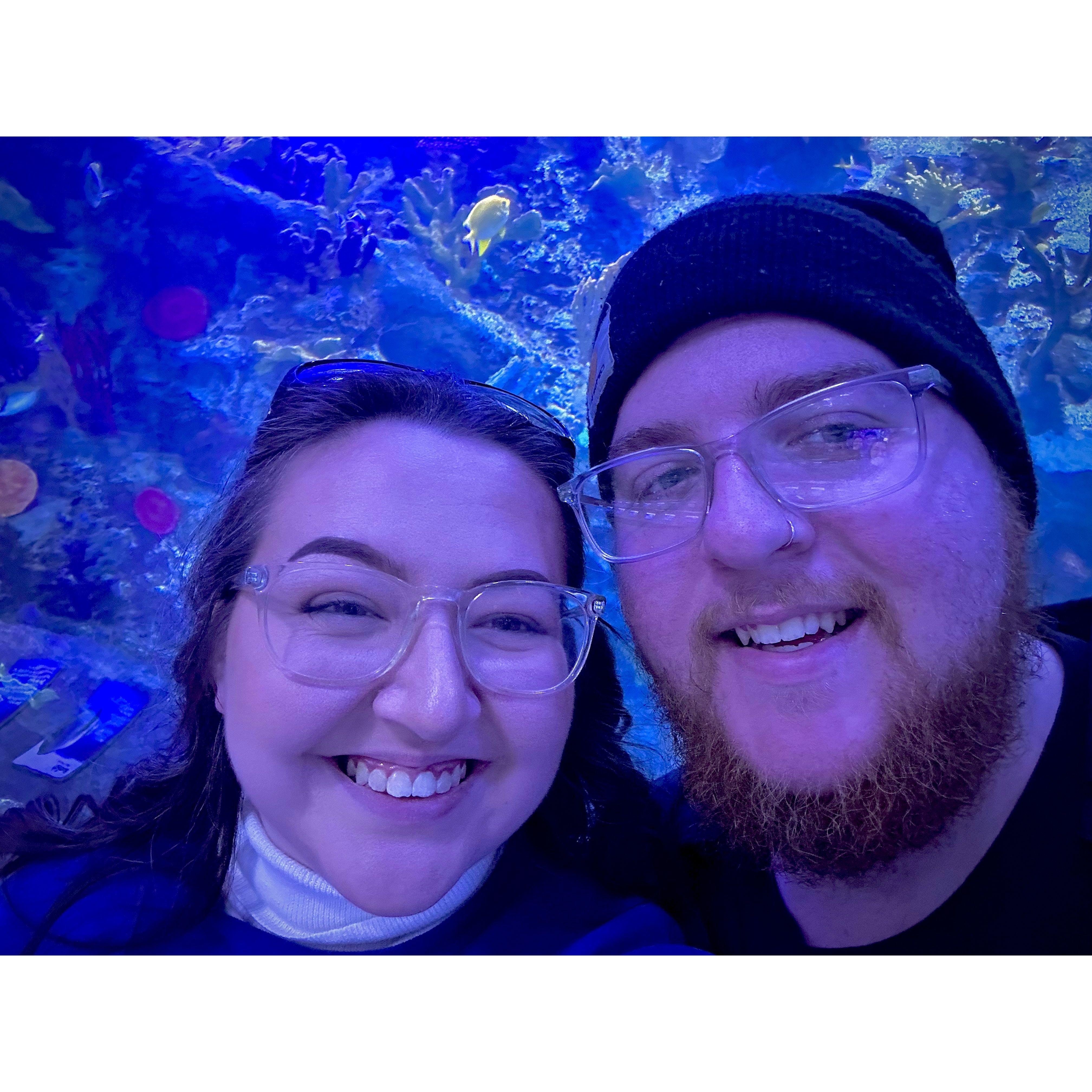 Our trip to the aquarium!