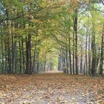 Kal-Haven Trail