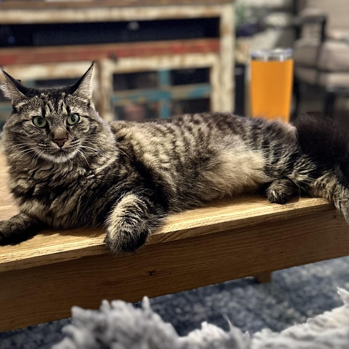 Tito