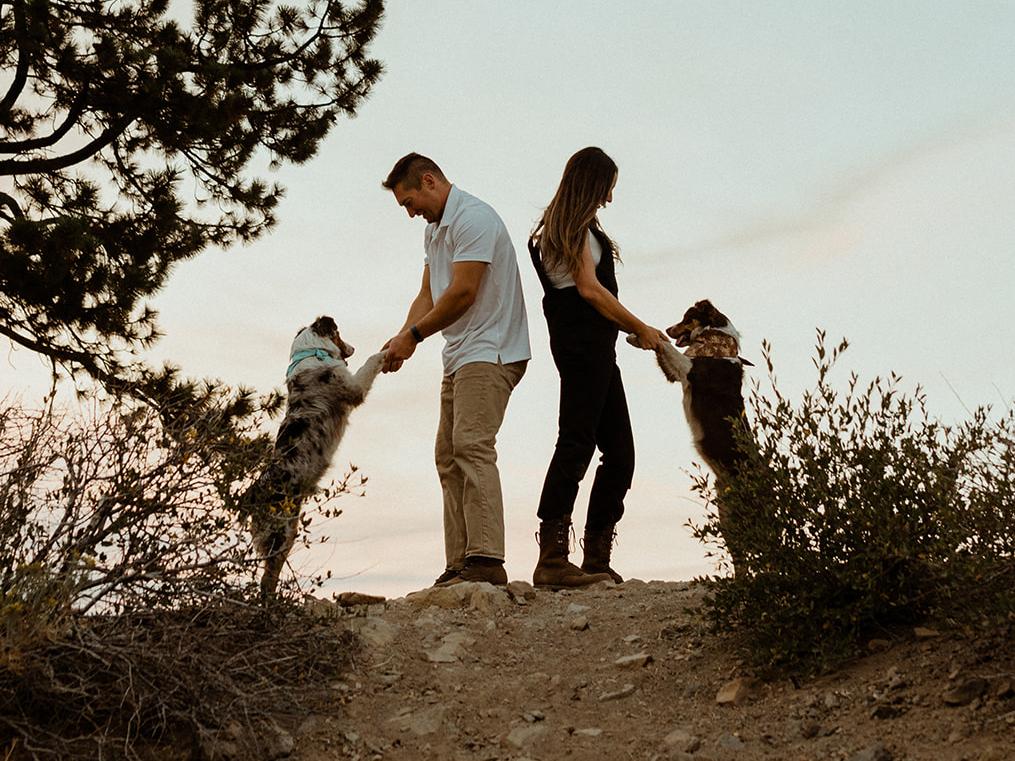 The Wedding Website of Monica Badois and Harrison Skov