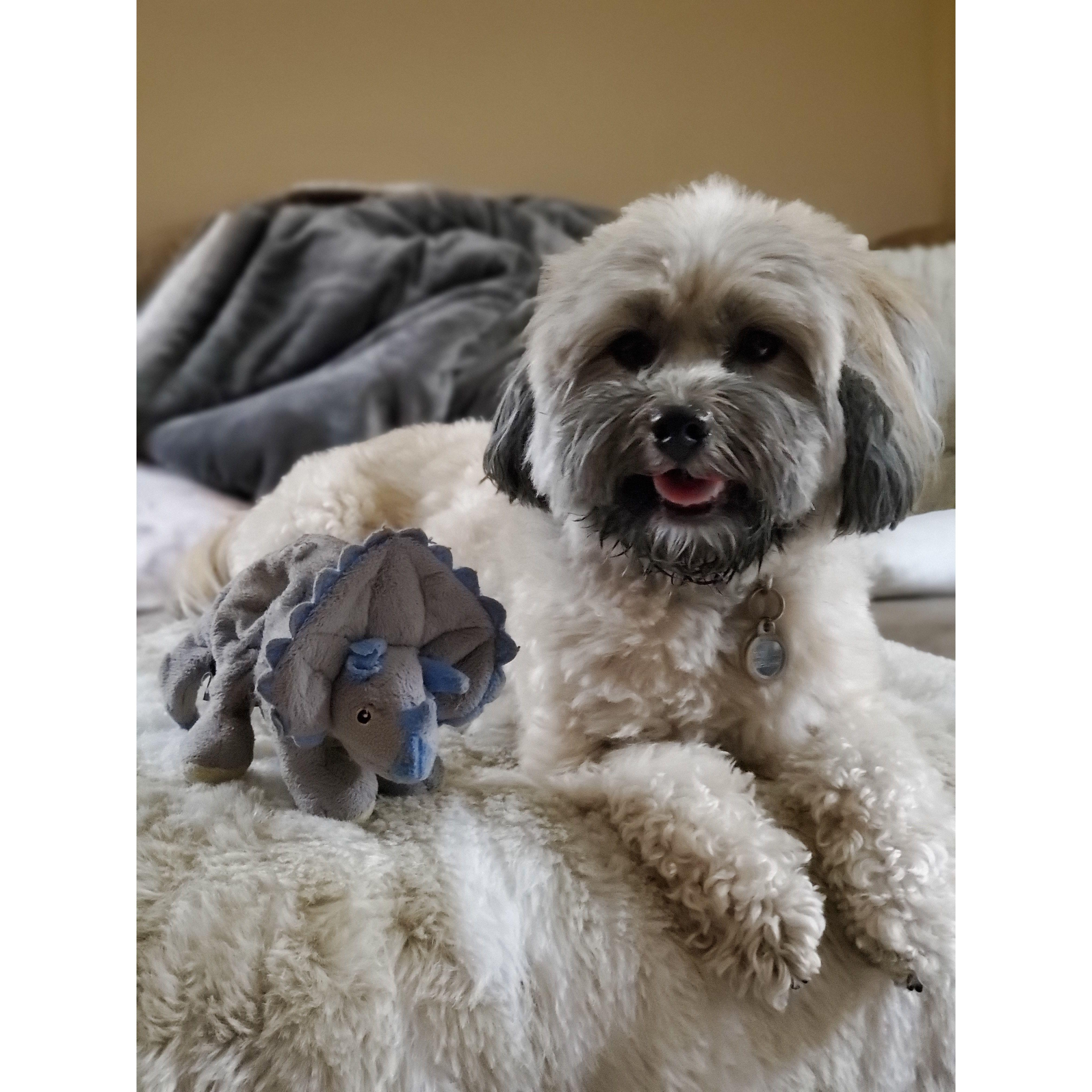 Inside family look with Brody Bear's trusted bestie, Dino, who has to join us for bedtime every night.