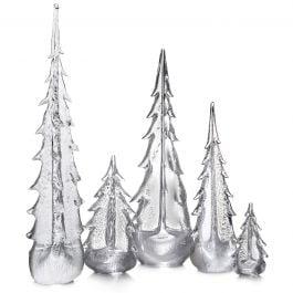 Silver Leaf Evergreen