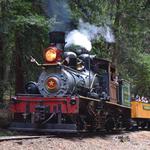 Roaring Camp - Redwood Forest Steam Train
