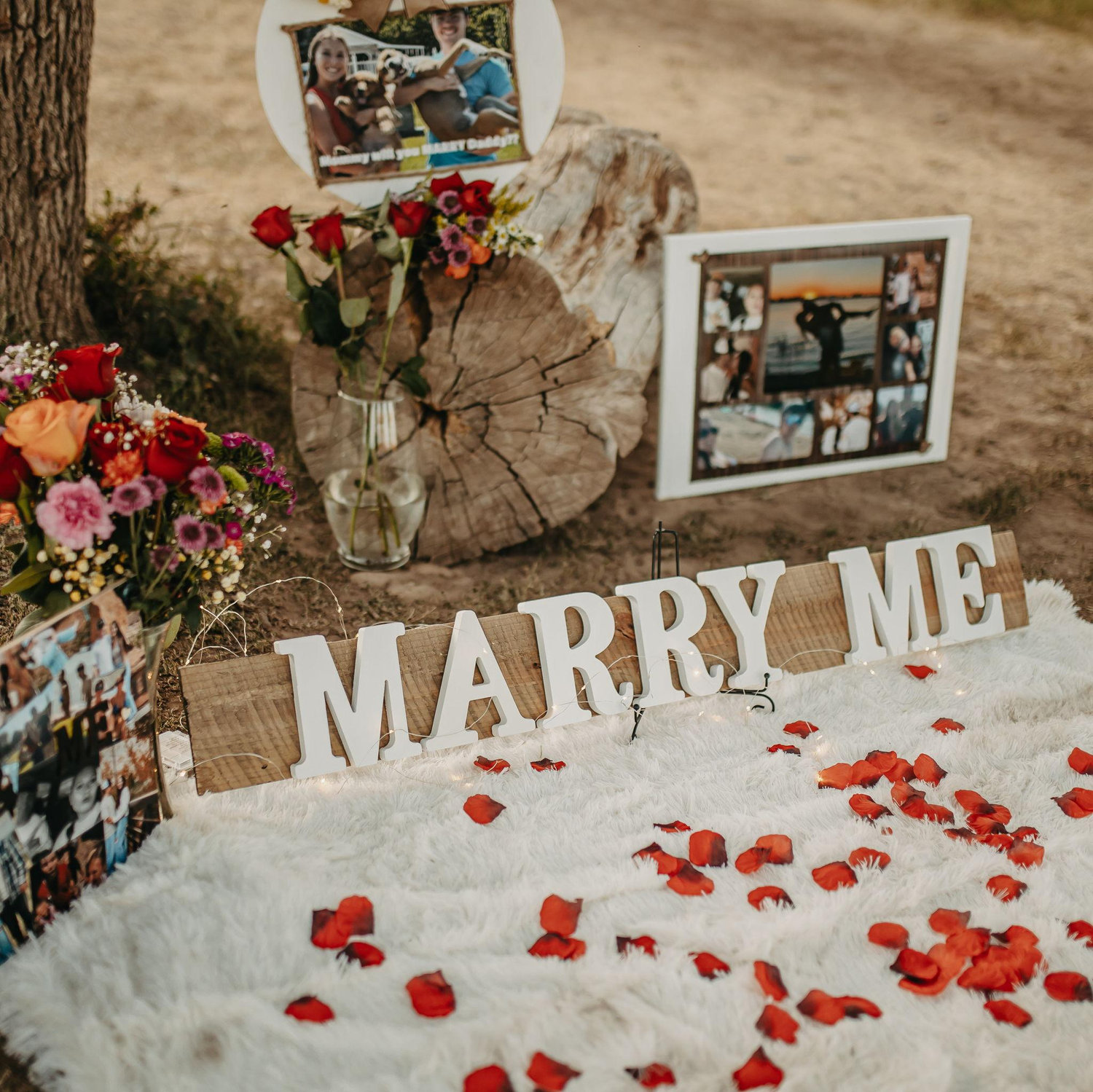 Our Proposal setup