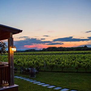 Macari Vineyards Cellar 6 Membership