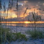 Bean Point Beach