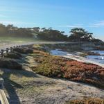 17 Mile Drive