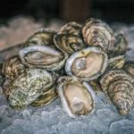 Midtown Oyster Bar