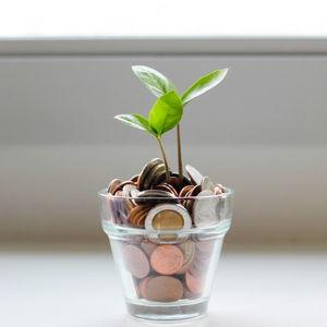 Next Chapter Fund