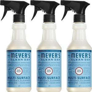 MRS. MEYER'S CLEAN DAY All-Purpose Cleaner Spray, Rain Water, 16 fl. oz - Pack of 3