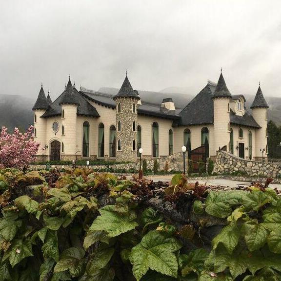 The castle