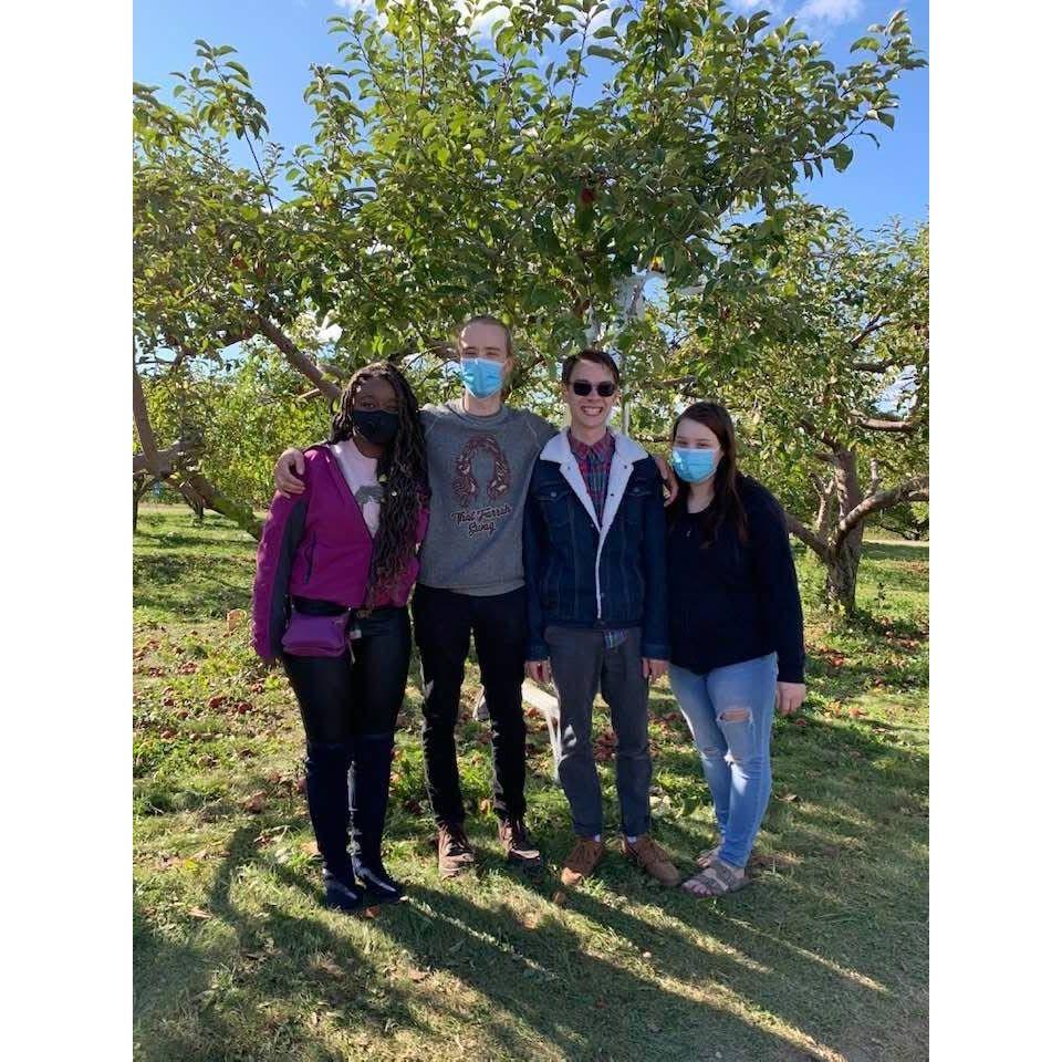 Apple Picking