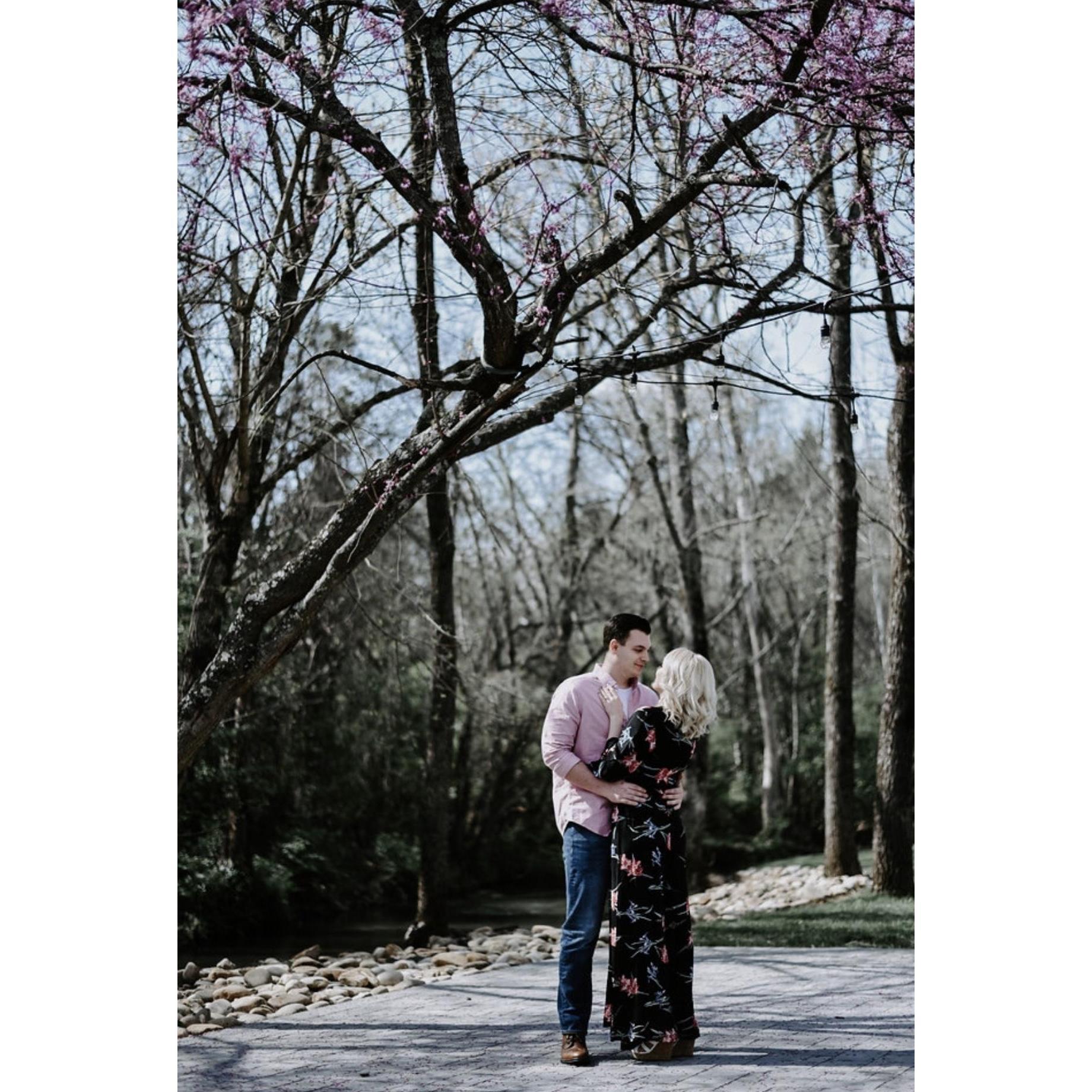 Engagement pictures