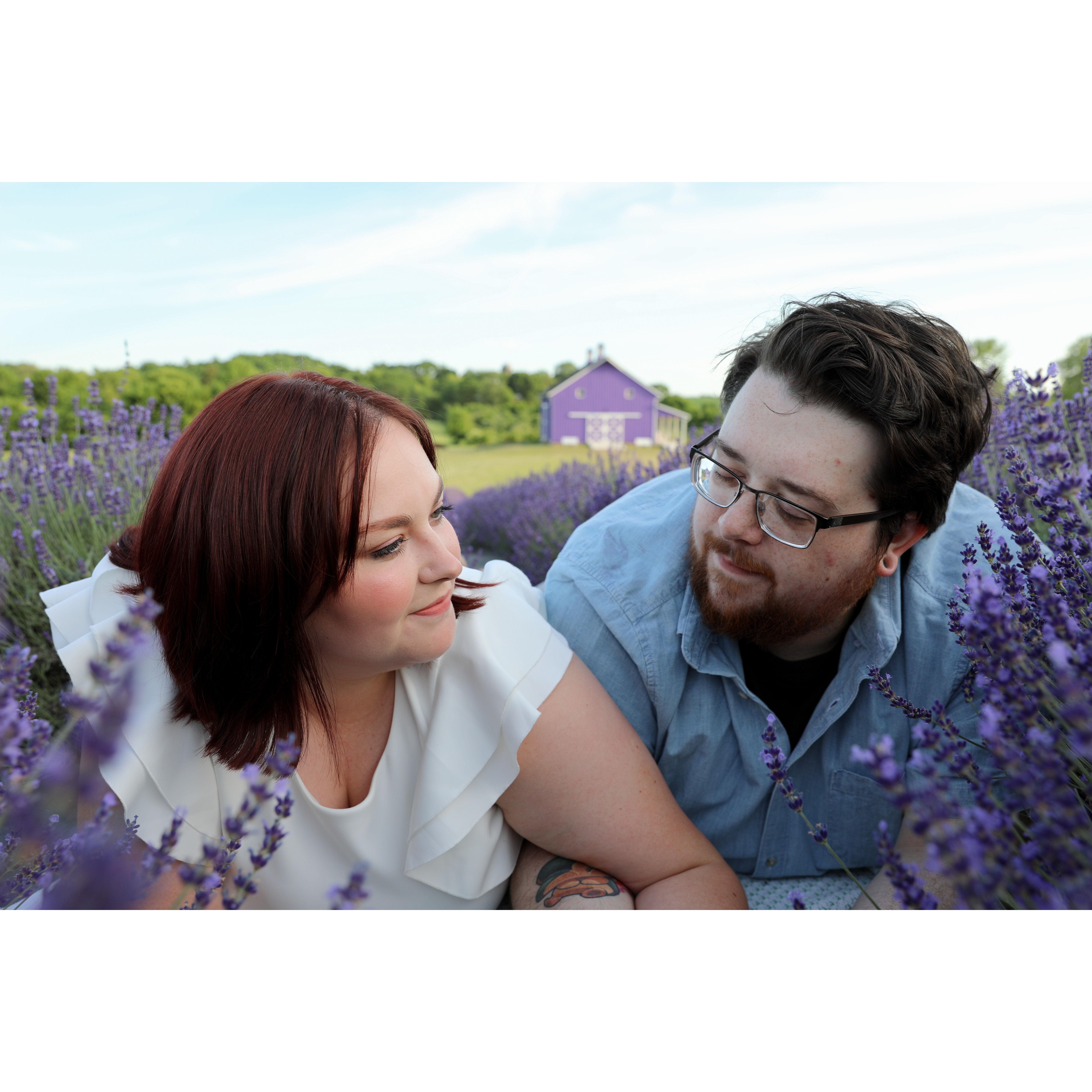 Engagement photoshoot at Sunset Ridge Lavender Farms. Photographer was Bloom Photography, LLC