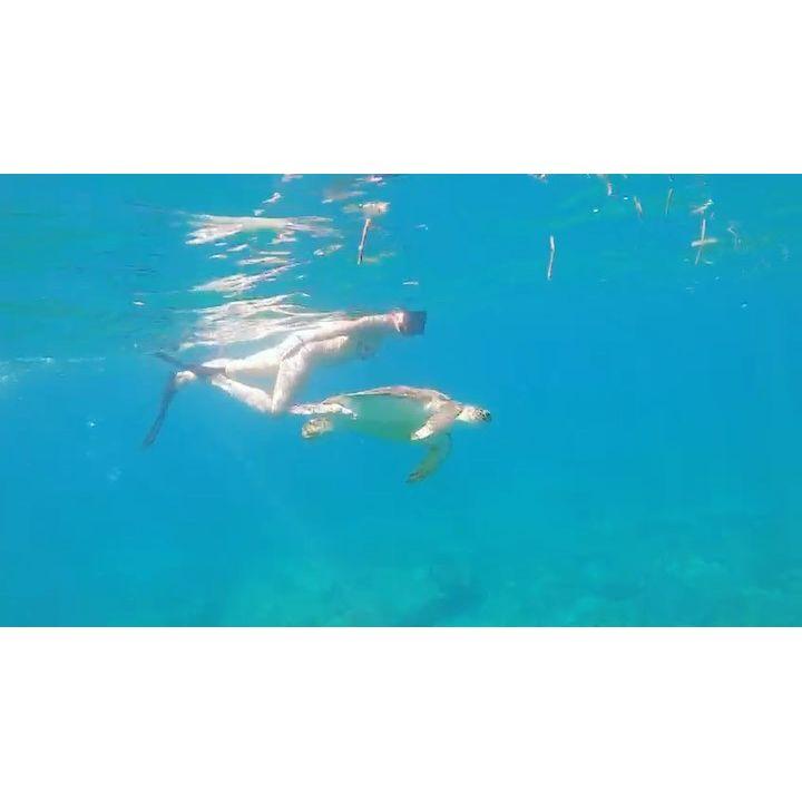 Snorkeling at Punta Arena's
