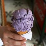 Franklin Fountain Ice Cream Bar
