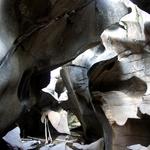 Grottos Trail