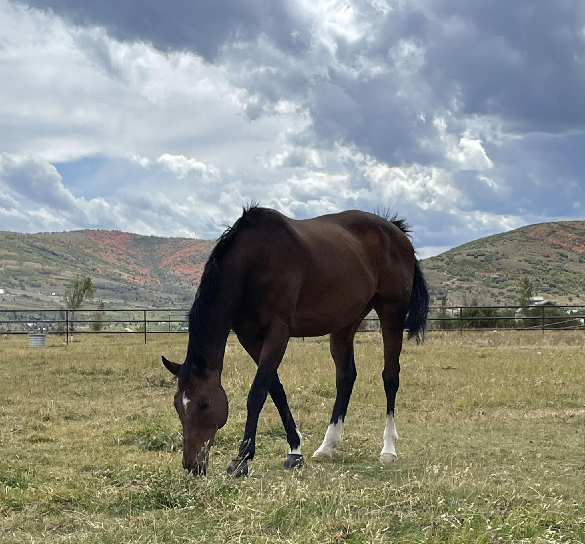 The Wedding Website of Bailey Bartholomew and William Herchenbach