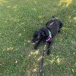 Delaware Park