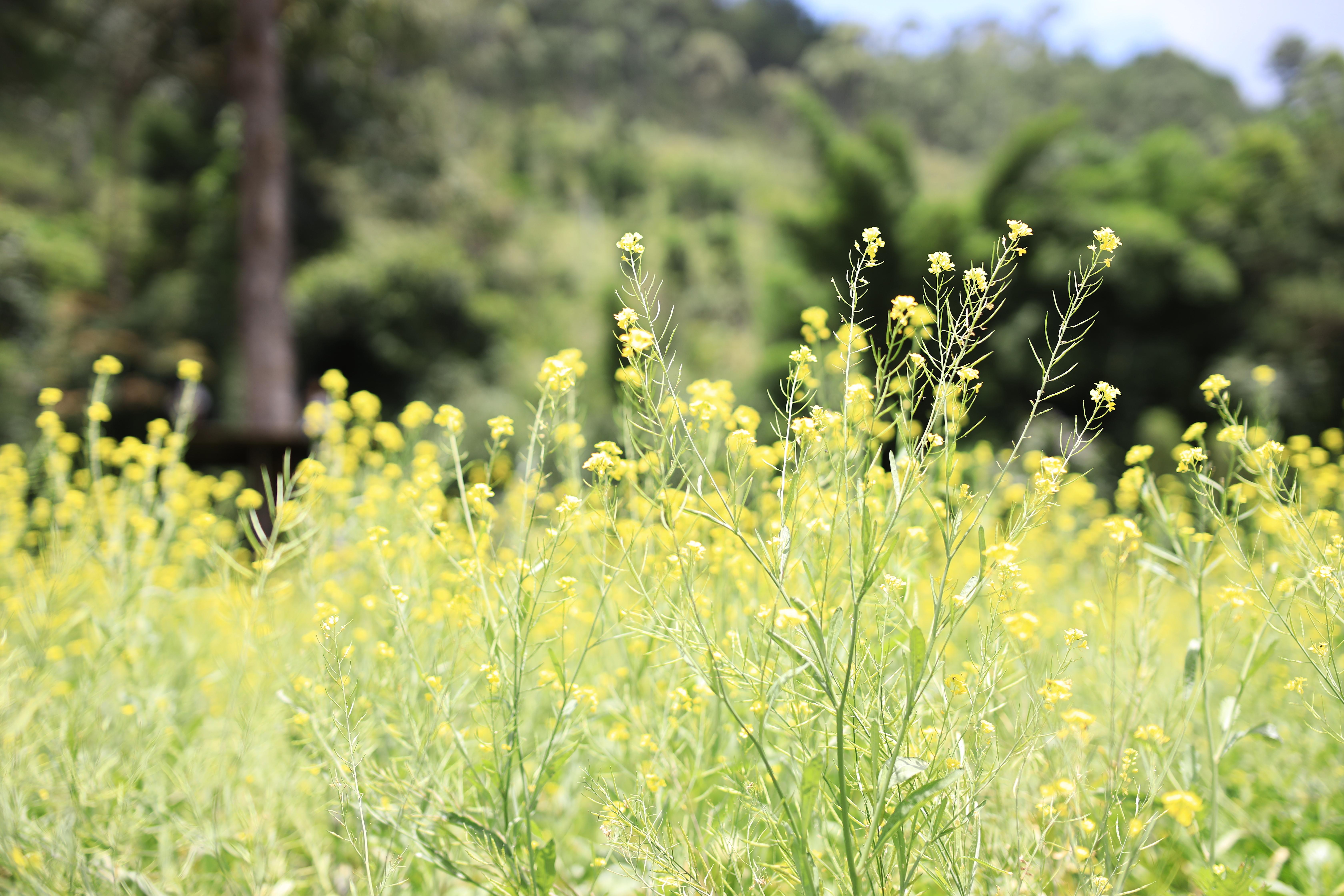 The Wedding Website of Nathan Soltz and Kien Truong