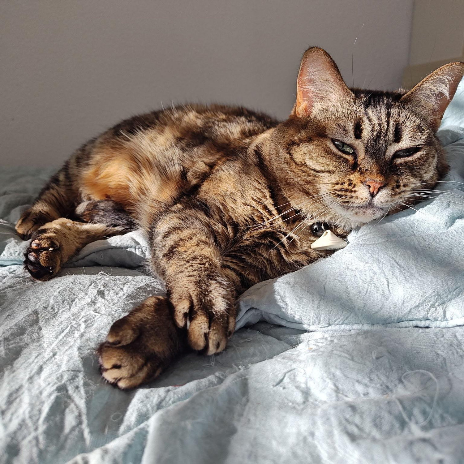 Lily
