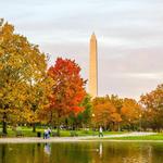 Washington DC