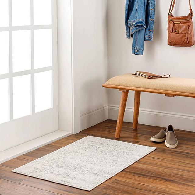 Artistic Weavers Janine Vintage Medallion Area Rug,2' x 3',Grey
