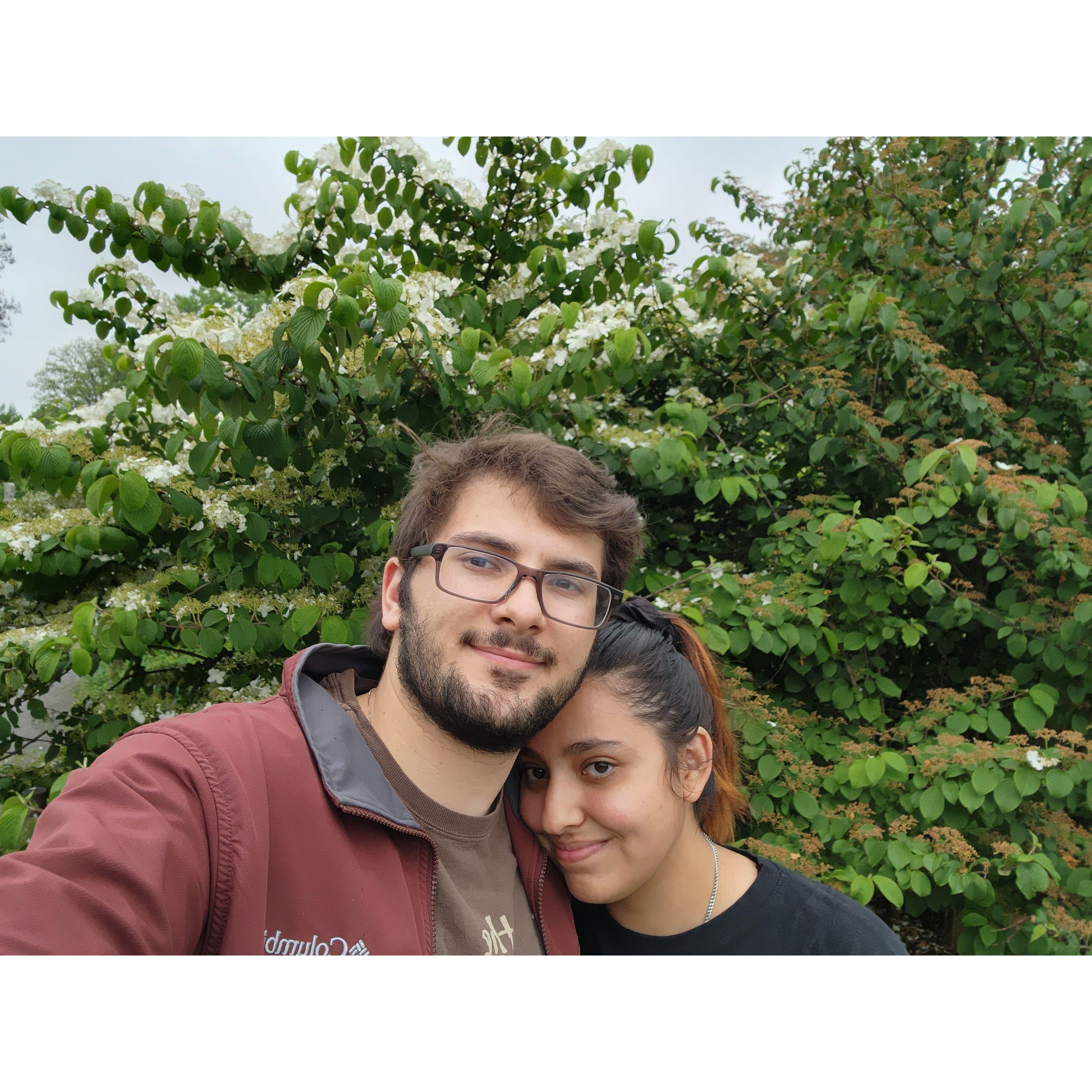 We took this picture during our travels to New York, this is in Brooklyn Botanical gardens.