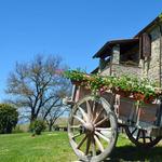 Agriturismo Il Poggio di Orvieto