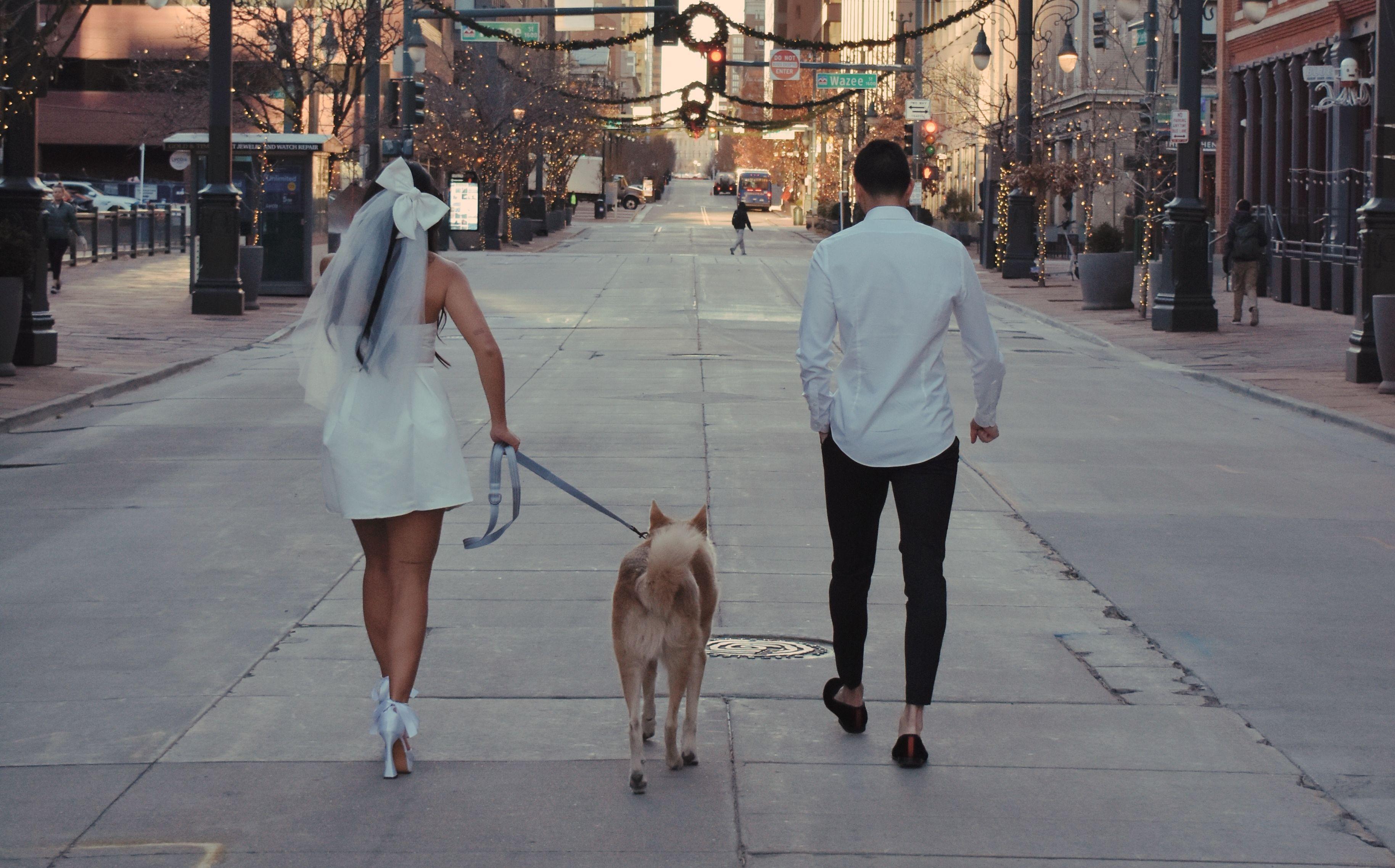 The Wedding Website of Allyssa Ross and Yama Farani