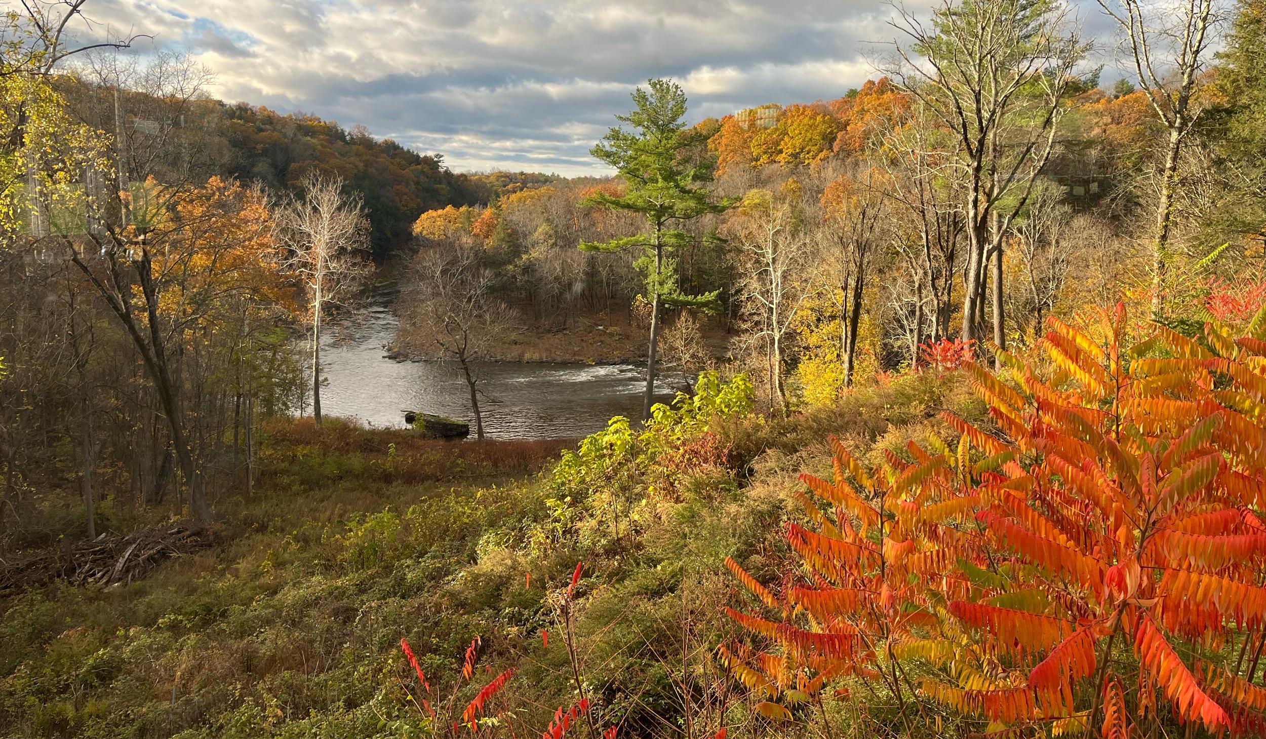 The Wedding Website of Jack Robarge and Nicole Stark