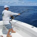 World Renown Sportfishing - Charter a Boat