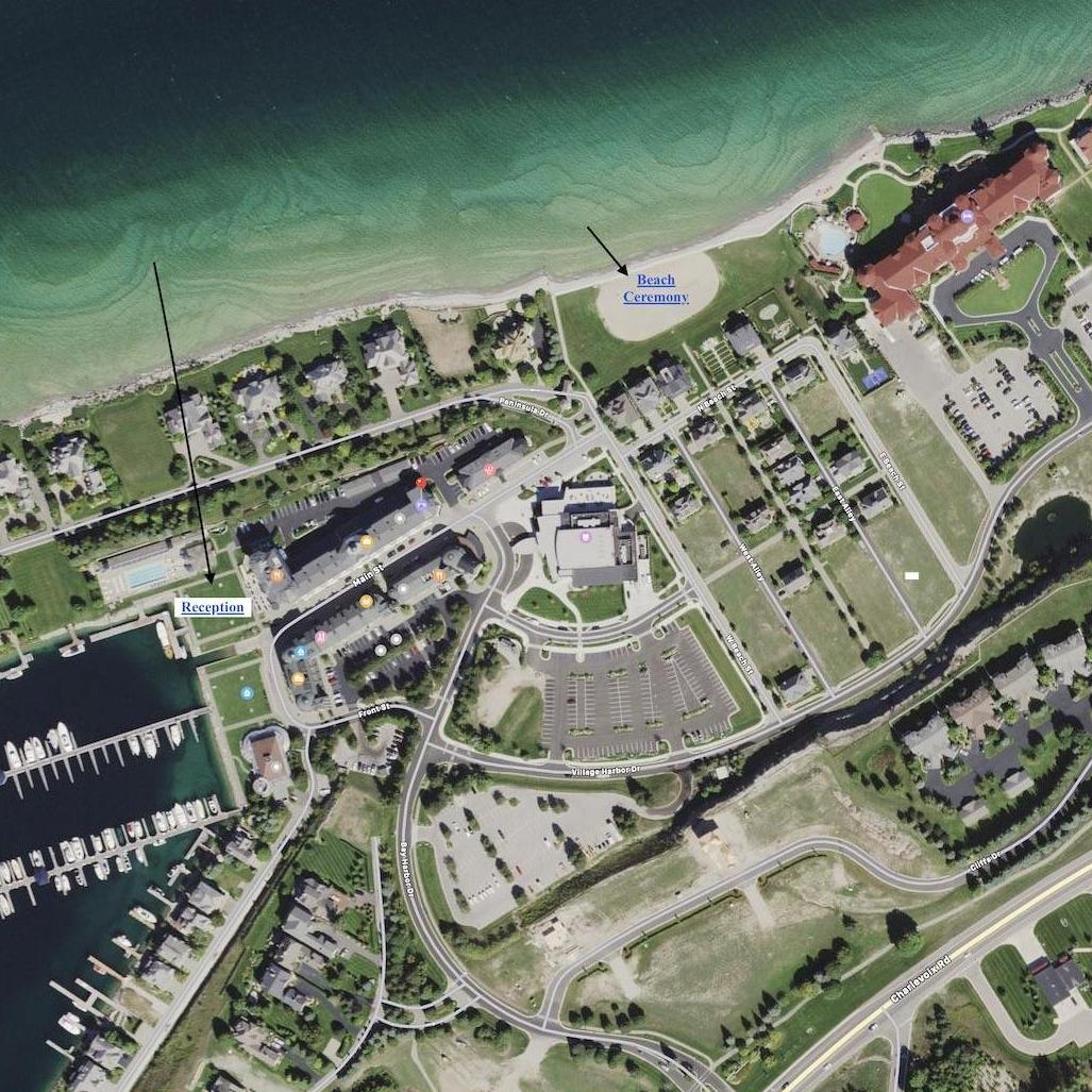 Aerial View of Wedding