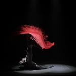 Museo del Baile Flamenco