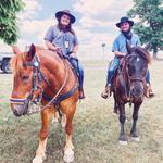 Hickory Hollow Horse Farm