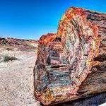 Petrified Forest National Park