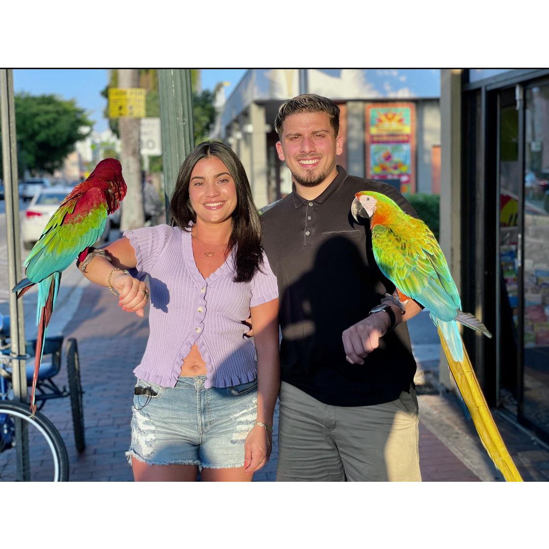 Cesar's first time in Miami. We were both scared of holding those parrots.