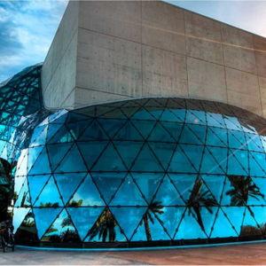 Dali Museum - Dual Membership