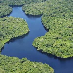 Flight over the Amazon (Honeymoon Experience)