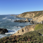 Bodega Head Trail