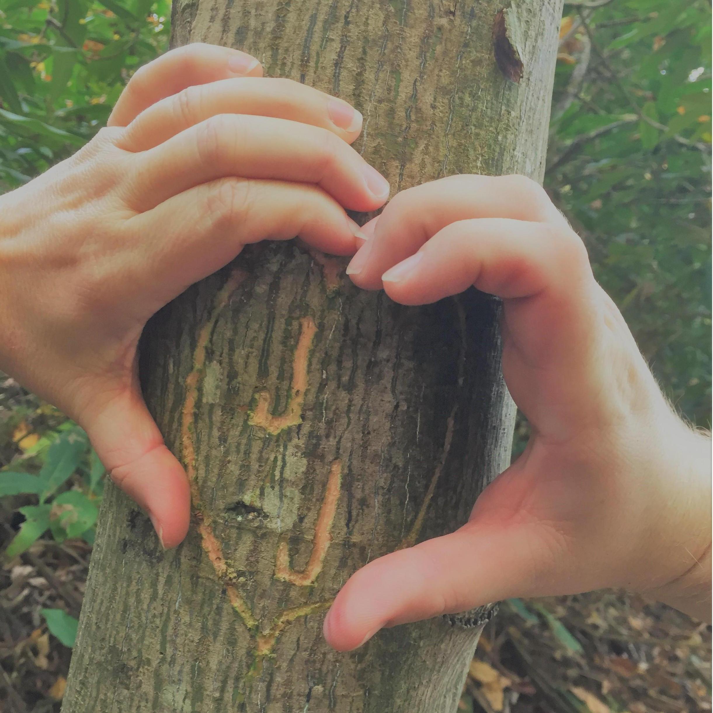 Someday we'll go back and find our tree in Gatlinburg!