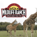 Natural Bridge Wildlife Ranch
