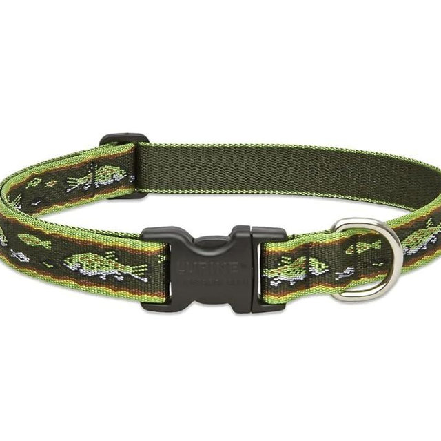 LupinePet Originals 1" Brook Trout 16-28" Adjustable Collar for Large Dogs