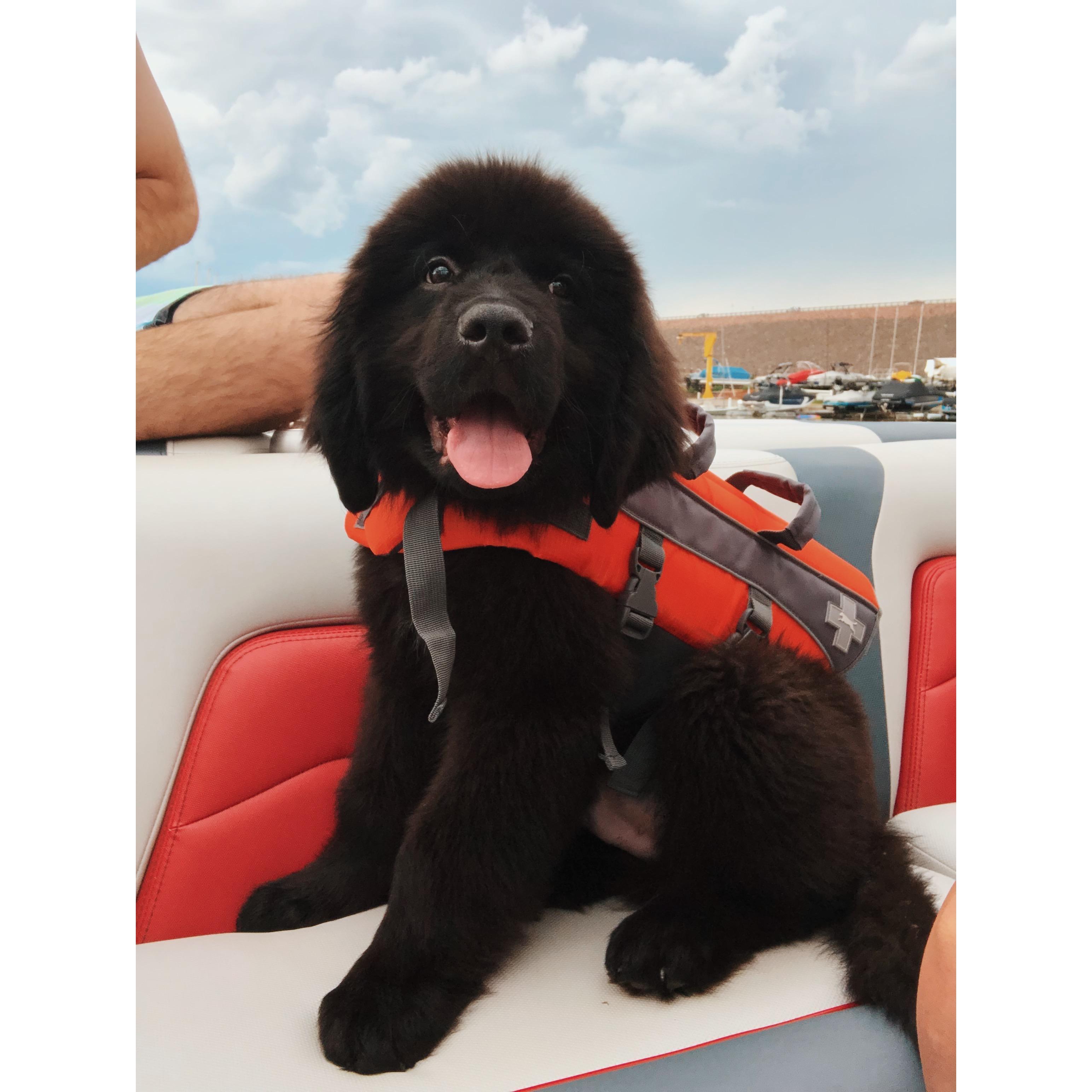 Our Appa Bear!
