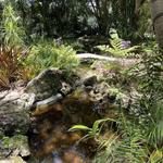 Heathcote Botanical Gardens